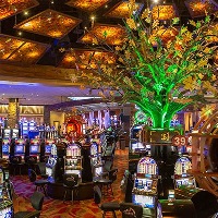 Vďakyvzdania kasínové akcie, tropické športové kasíno, Vegas days kasíno bonus bez vkladu