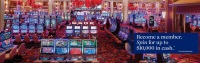 Vegas casino s barmi s názvom dublin